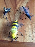 �����������